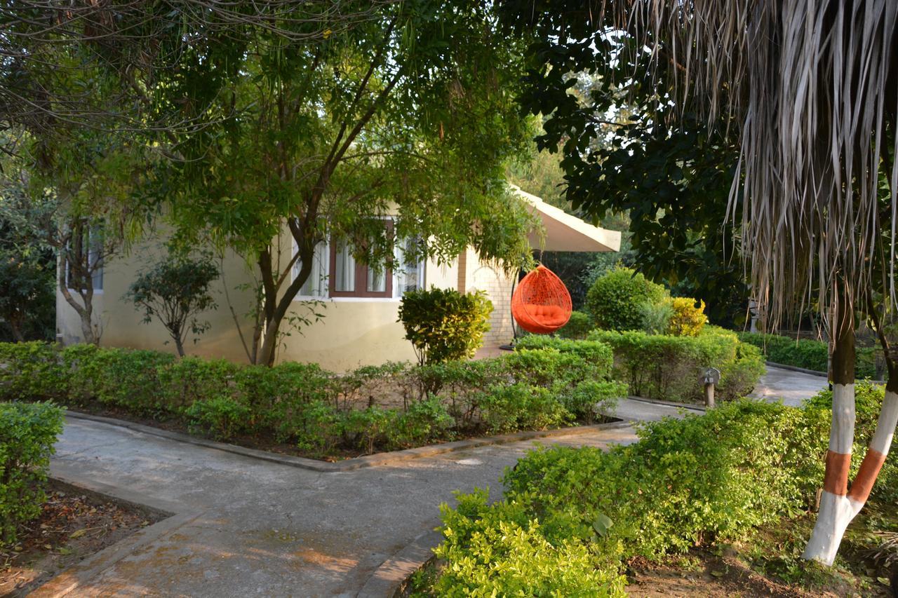 Acorn Hideaway Resort & Spa Rāmnagar Exterior foto